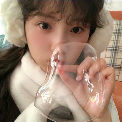 黑艳凤